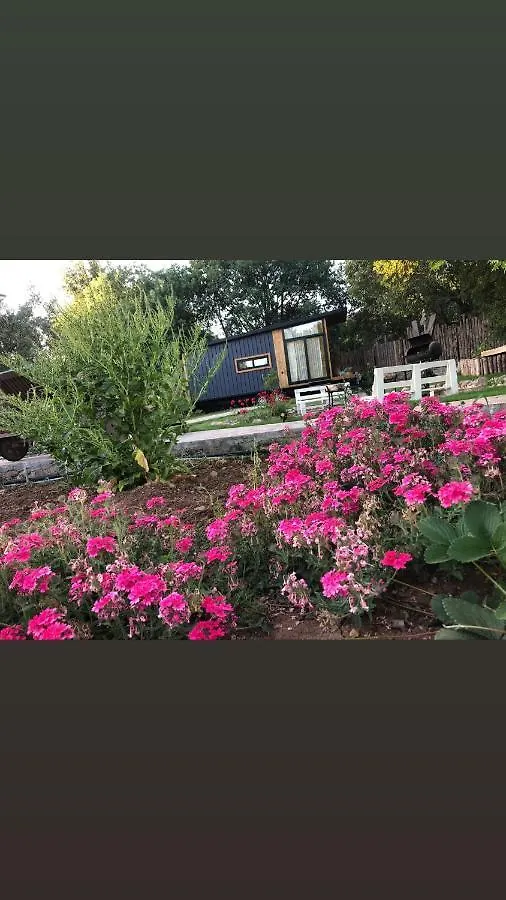 Casa de hóspedes Tiny House Kayakoey Kumquat Hotel